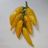 Aji Lemon Pepper