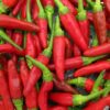 Birds Eye Chilli Pepper