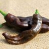 Ethiopian Brown Chilli Pepper
