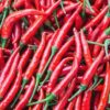 Inchanga Chilli Pepper
