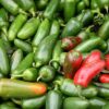 Jalapeno M Pepper