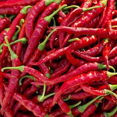Long Red Cayenne Chilli Pepper