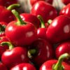 Red Hot Cherry Pepper