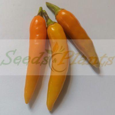 Bulgarian Carrot Chilli
