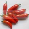 Serrano Chilli Pepper