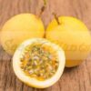 yellow passion fruit seeds