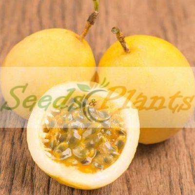 yellow passion fruit seeds