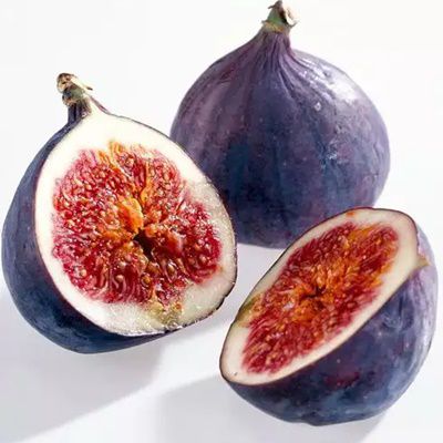 Fig Tree Seeds