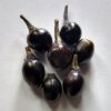 Black Pearl Chilli Pepper