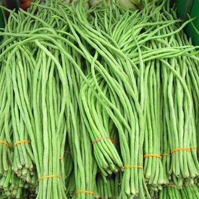Green Yard Long Beans