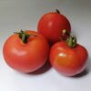 Trumfera Balaguer Tomato