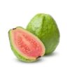 Guava Tree Seeds
