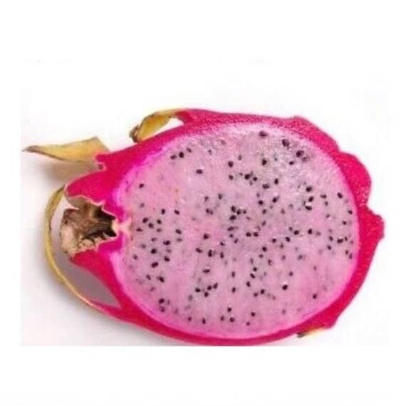 Fruit Seeds for Sale Online Fruit Seed Store South Africa