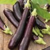 Long Purple Eggplant