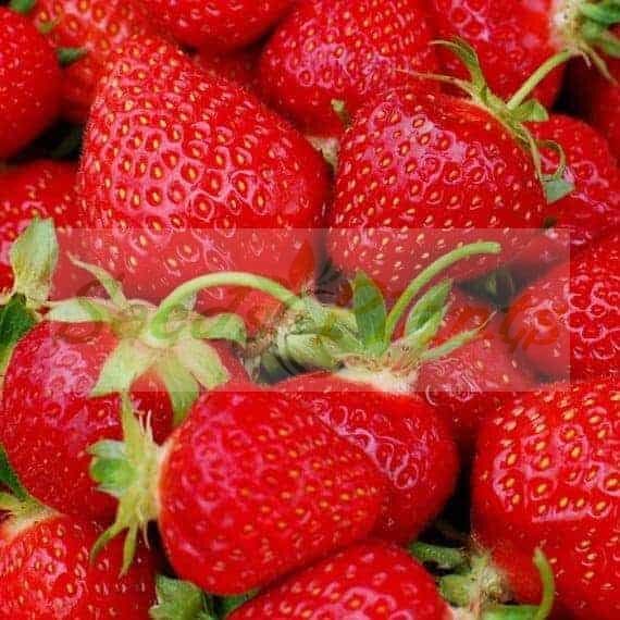 Strawberry Fragissimo