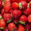 Strawberry Fragissimo