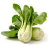 Pak Choi