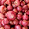 Red Creole Onion