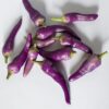 Purple Cayenne Chilli