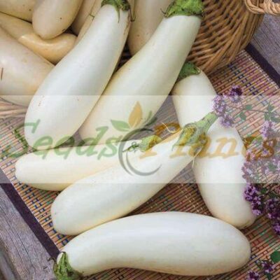 casper eggplant seeds