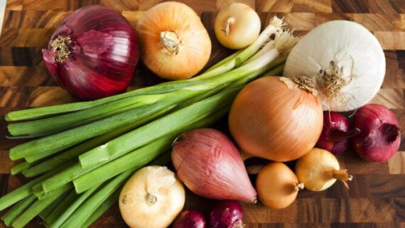 Which Onion Variety to Grow