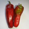 Red Marconi Pepper