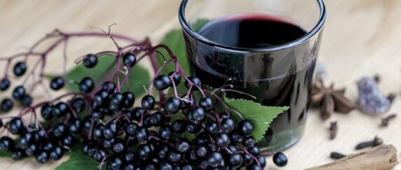 Elderberry Medicinal Uses