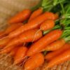 Sweetheart Baby Carrot