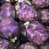 Violet De Provence Artichoke
