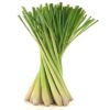 Lemongrass