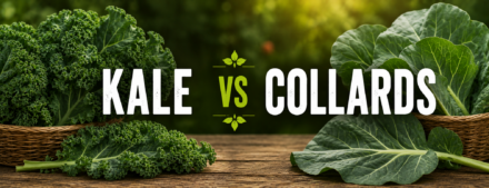 Kale vs Collards