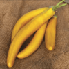 Yellow Finger Eggplant