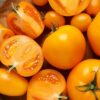 Golden Jubilee Tomato