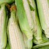 Stowells Evergreen Sweetcorn