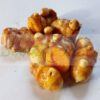 Turmeric Rhizomes