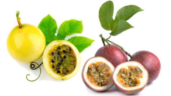 How to grow Passion Fruit