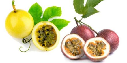 How to grow Passion Fruit