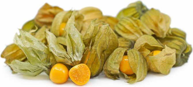 Growing Cape Gooseberry