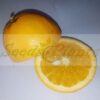 Valencia Orange