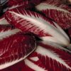 Radicchio Rossa Treviso