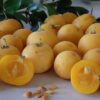 Kei Apple