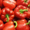Red Bell Pepper