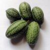 Cucamelon