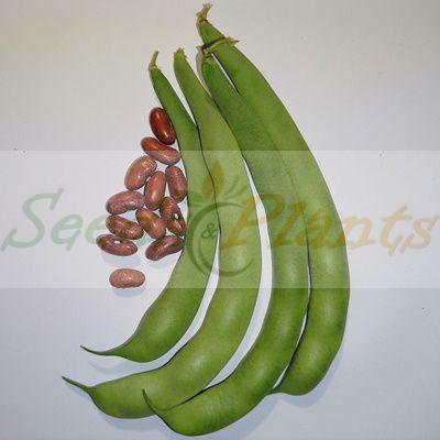 Lazy Housewife Runner Beans
