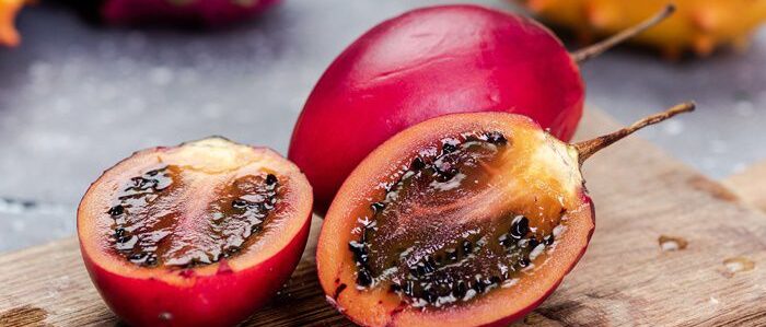 Growing Tamarillo