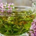 Vervain Medicinal Uses
