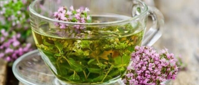 Vervain Medicinal Uses
