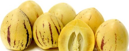 Growing Pepino Melon