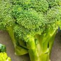Different Broccoli Types