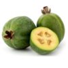 Pineapple Guava